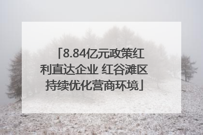 8.84亿元政策红利直达企业 红谷滩区持续优化营商环境