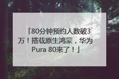 80分钟预约人数破3万！搭载原生鸿蒙，华为Pura 80来了！