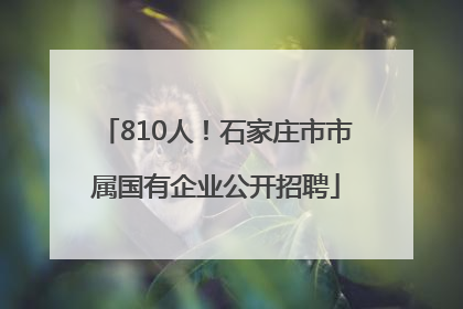 810人！石家庄市市属国有企业公开招聘