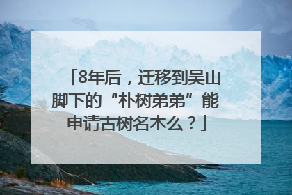 8年后，迁移到吴山脚下的“朴树弟弟”能申请古树名木么？