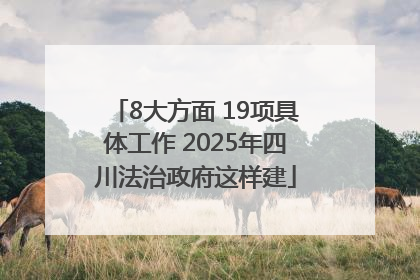 8大方面 19项具体工作 2025年四川法治政府这样建