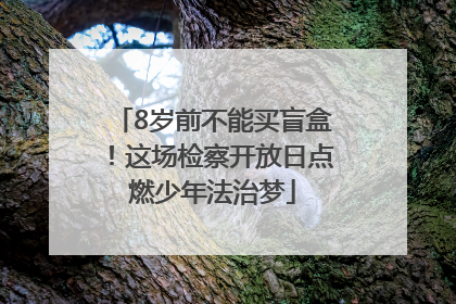 8岁前不能买盲盒！这场检察开放日点燃少年法治梦