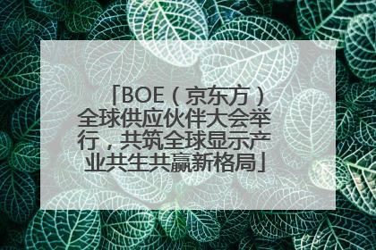 BOE（京东方）全球供应伙伴大会举行，共筑全球显示产业共生共赢新格局