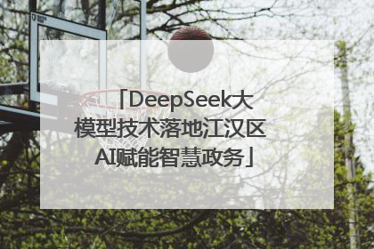 DeepSeek大模型技术落地江汉区 AI赋能智慧政务
