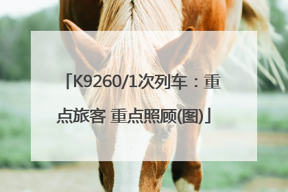 K9260/1次列车：重点旅客 重点照顾(图)