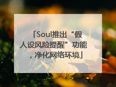 Soul推出“假人设风险提醒”功能，净化网络环境
