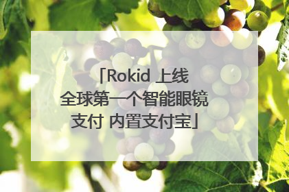 Rokid 上线全球第一个智能眼镜支付 内置支付宝