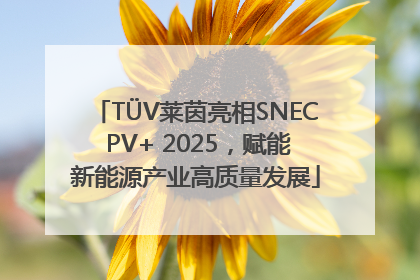 TÜV莱茵亮相SNEC PV+ 2025，赋能新能源产业高质量发展
